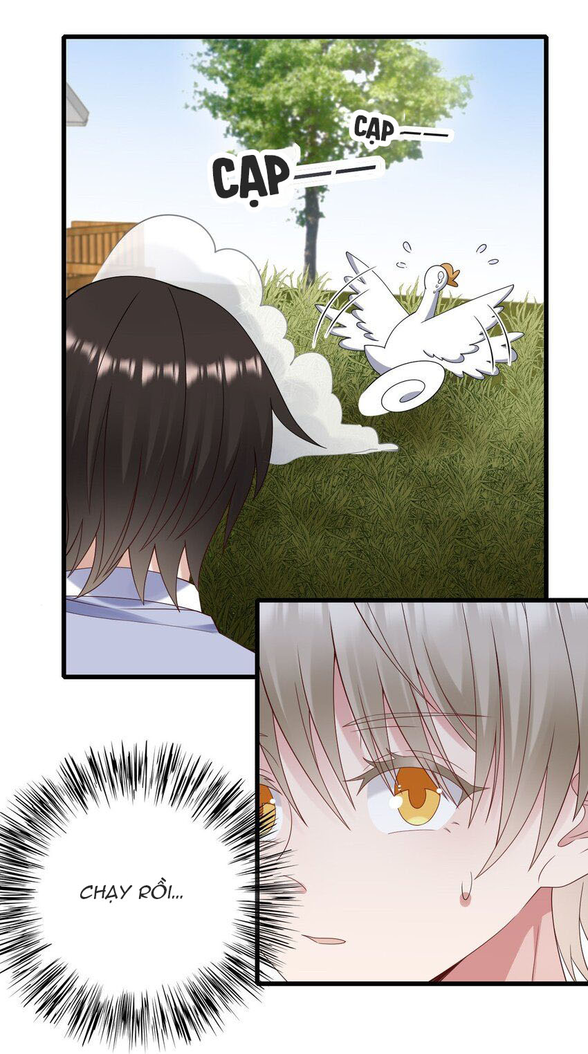 tức thời phạm quy [ tức thì vi quy ] chapter 63 3