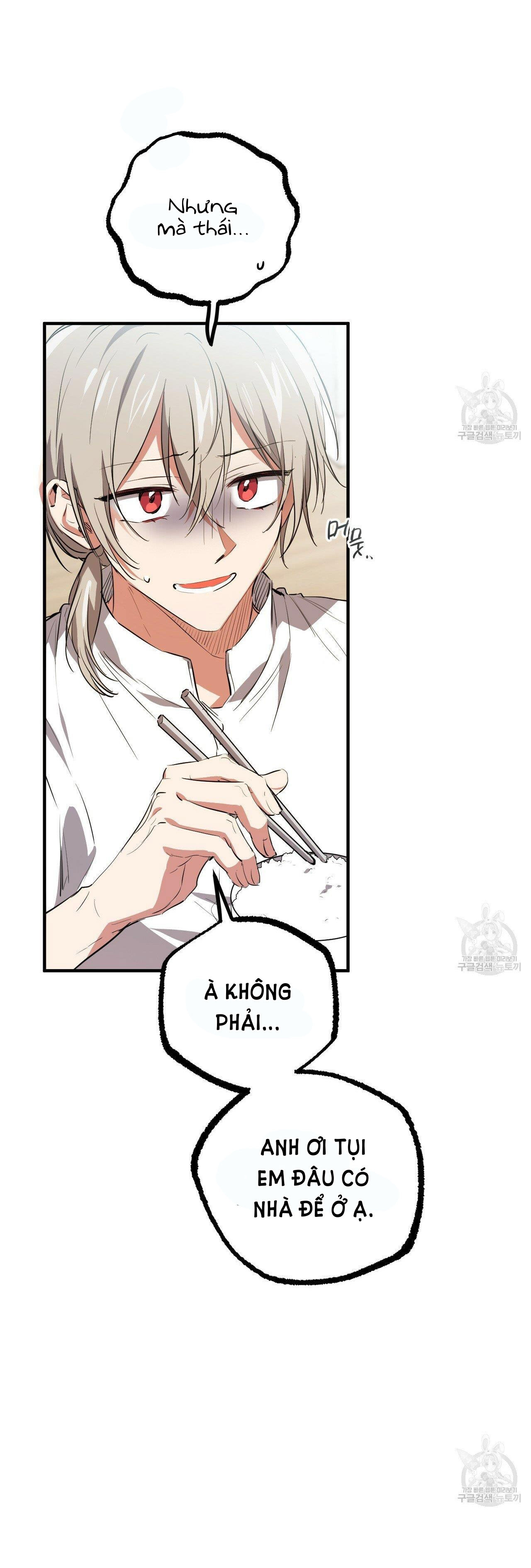 những chú thỏ của hapypy chapter 51.2 7