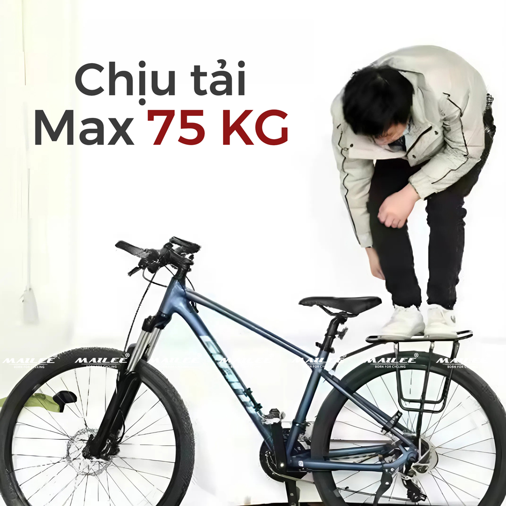 Baga sau xe đạp MTB địa hình BG-101V, baga ghế ngồi sau cho bánh xe 26 / 27.5 / 700C (lắp chốt đinh chờ), chất liệu thép trọng lượng chở max 75 kg (đầy đủ phụ kiện đinh ốc) - Mai Lee