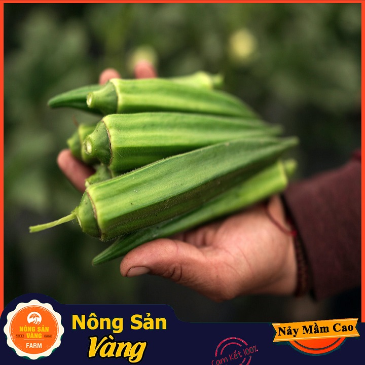 Hạt giống Đậu Bắp Cao Sản ( Gói 20 Gram ) - Nông Sản Vàng