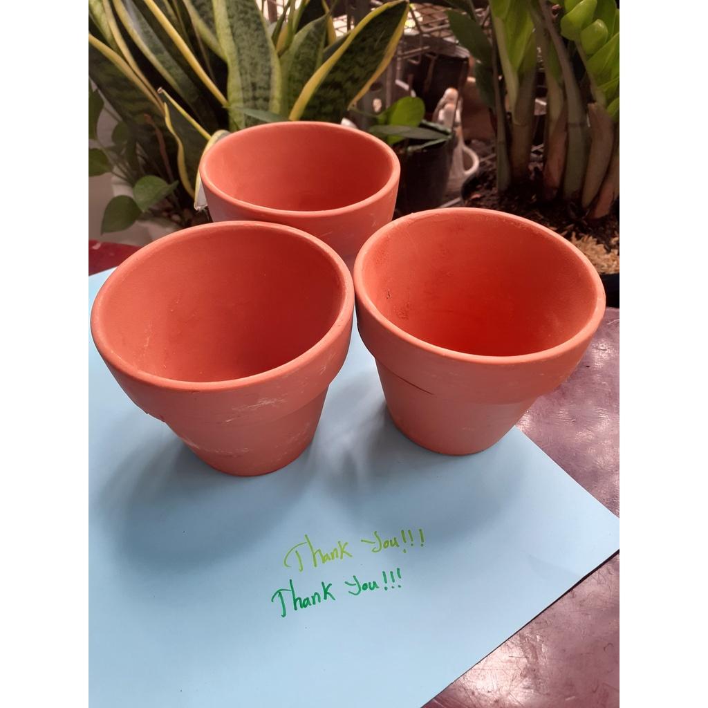 Chậu đất nung dễ thương trồng sen đá