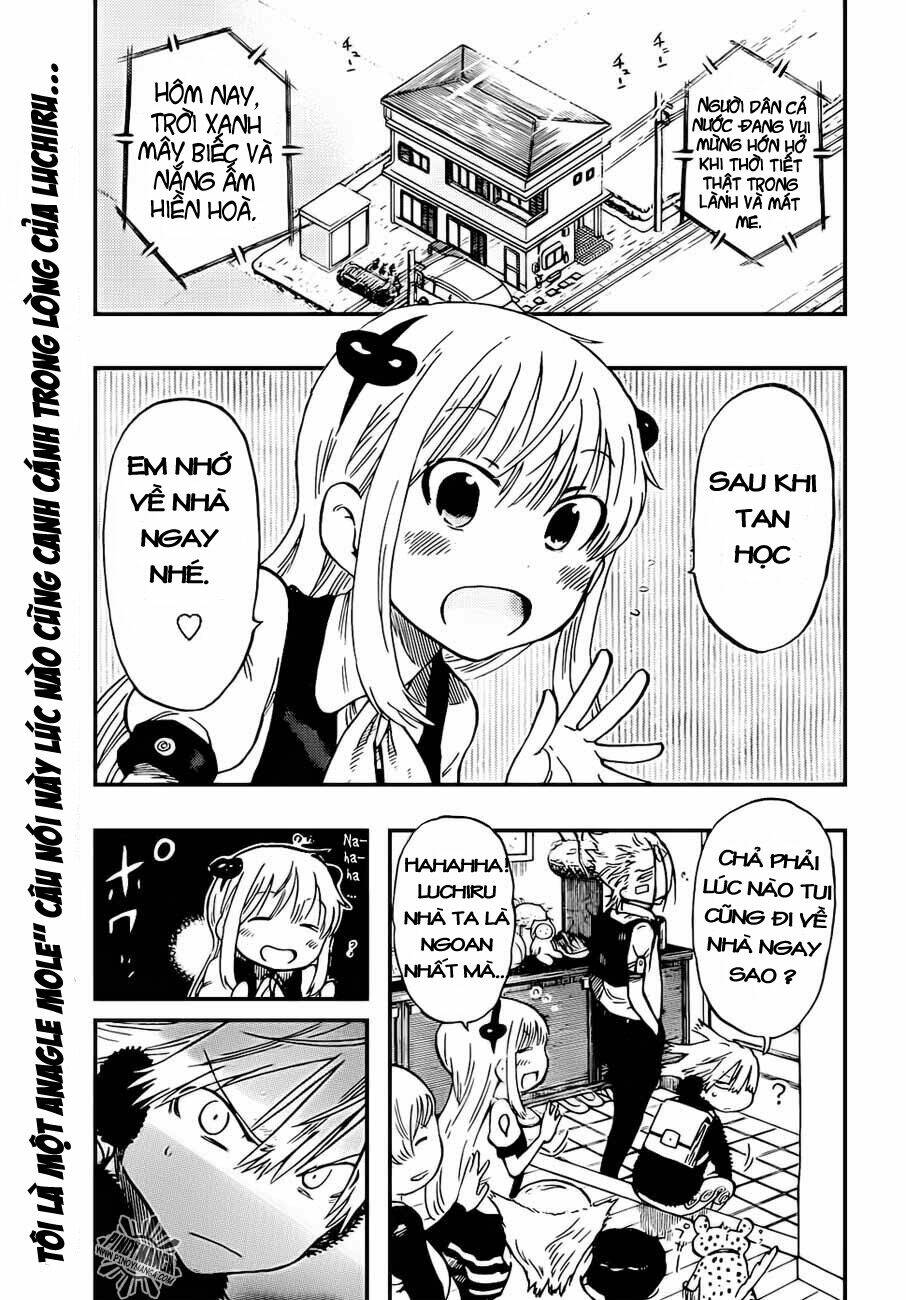 anagle mole chapter 8 2