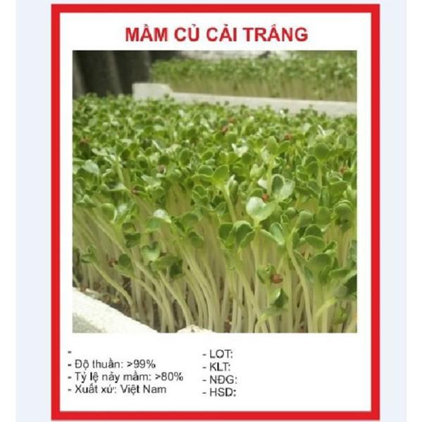 Hạt giống Mầm củ cải trắng – Gói 50g