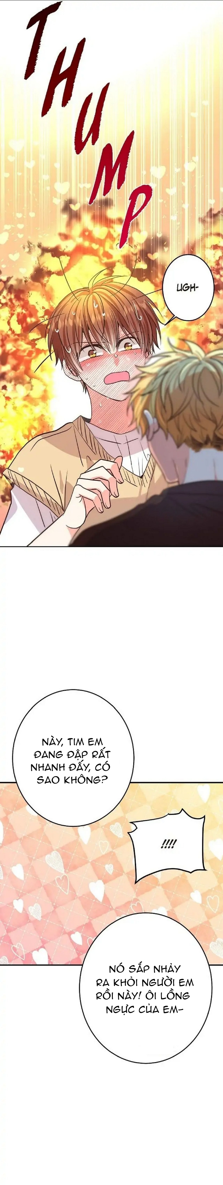 mối quan hệ phù hợp chapter 19 20