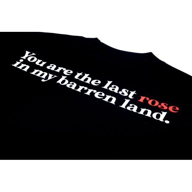 Áo thun, áo thun polo Rose Basic Tee unisex nam nữ from rộng, tay lỡ, cổ tròn màu xanh, đen, trắng.