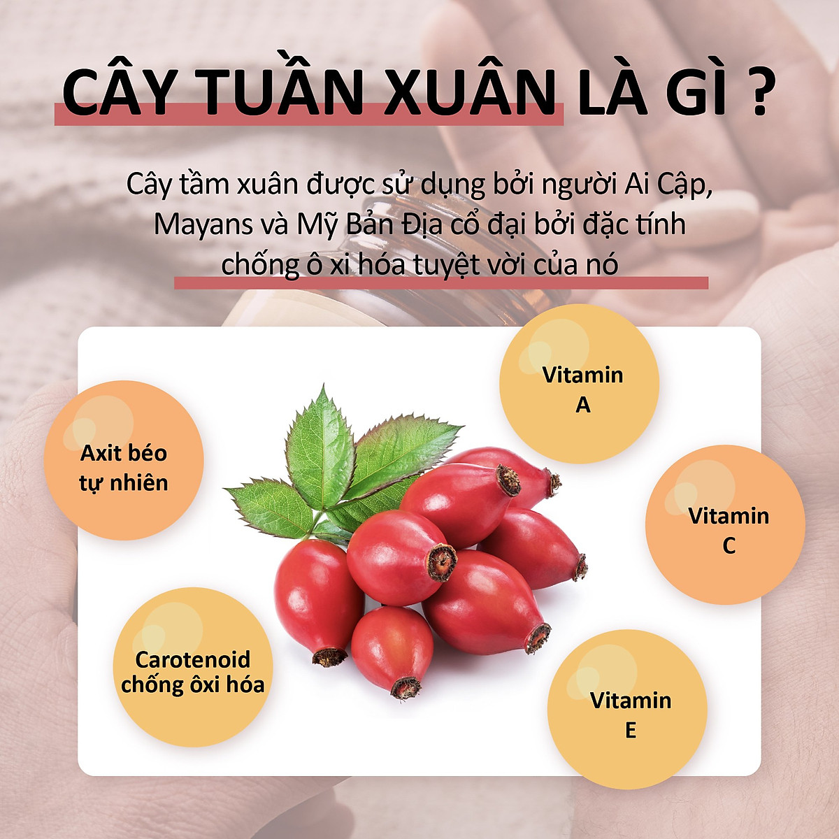 Viên Uống Bổ Sung Vitamin C, Tăng Đề Kháng, Chống Oxy Hóa với Dầu Tầm Xuân Solgar Vitamin C 500mg With Rose Hips (Hộp 100 Viên)