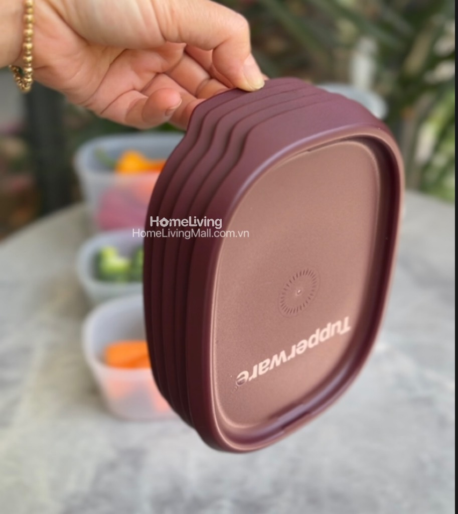 Bộ Trữ Khô &amp; Mát Tupperware One Touch Fresh Set 5