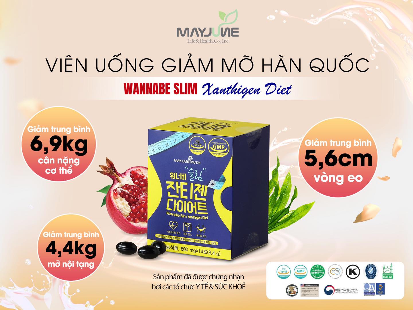 Viên uống thải độc tiêu mỡ Slim Xanthigen Diet