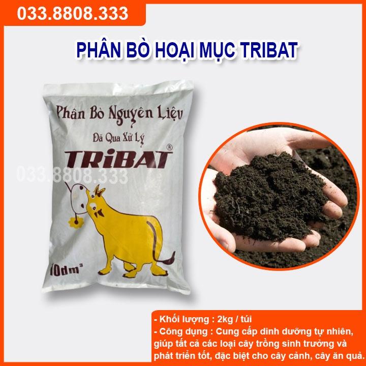 Phân Bò Tribat 10dm3 đã quy xử lý chuyên dùng cho cây cảnh - rau - hoa màu