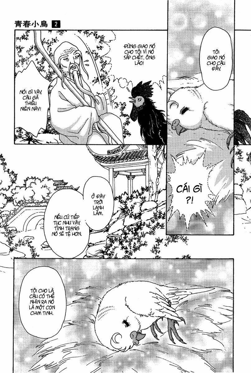 bird of youth chapter 6 4