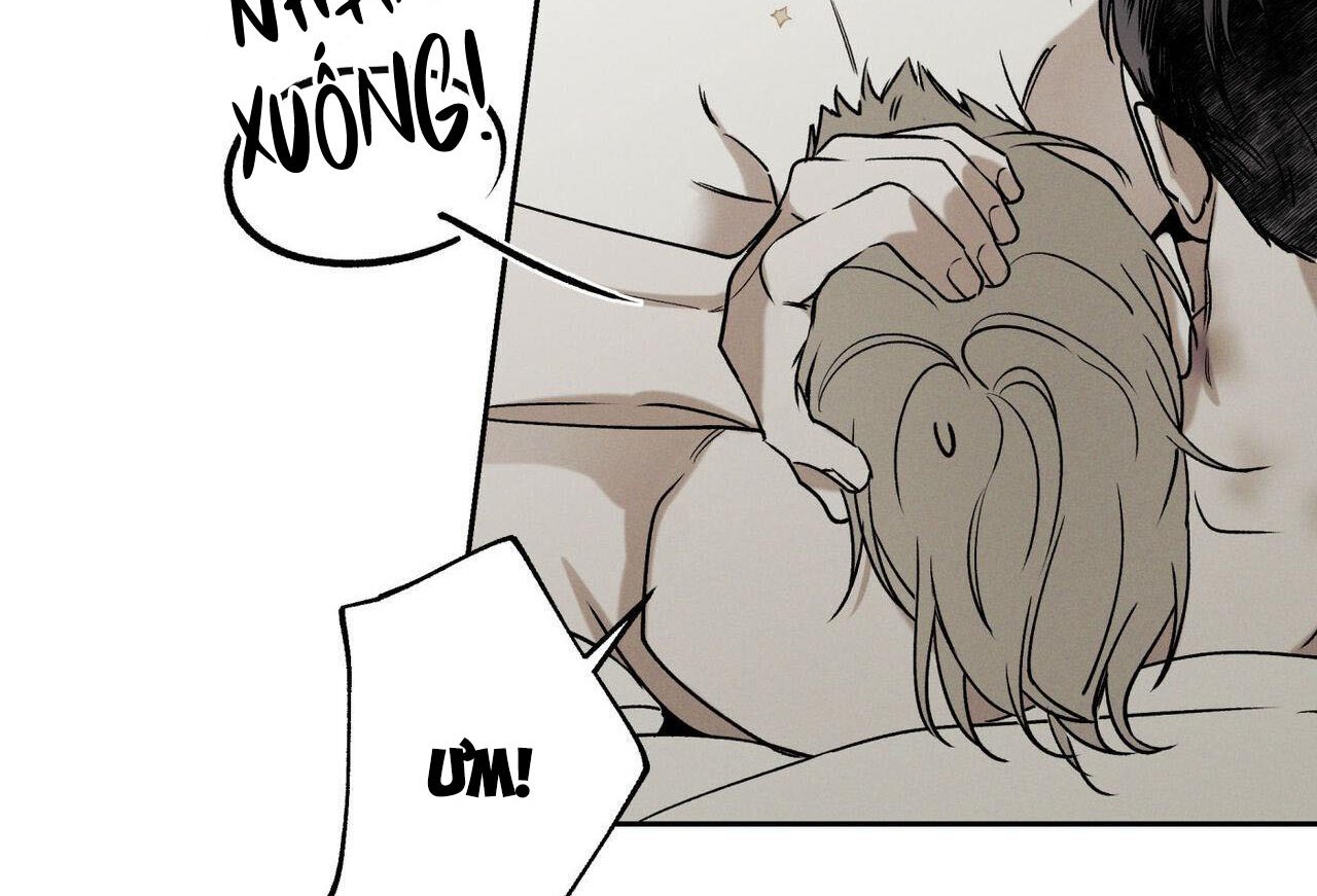 chàng giao pizza và gold palace chapter 47 67