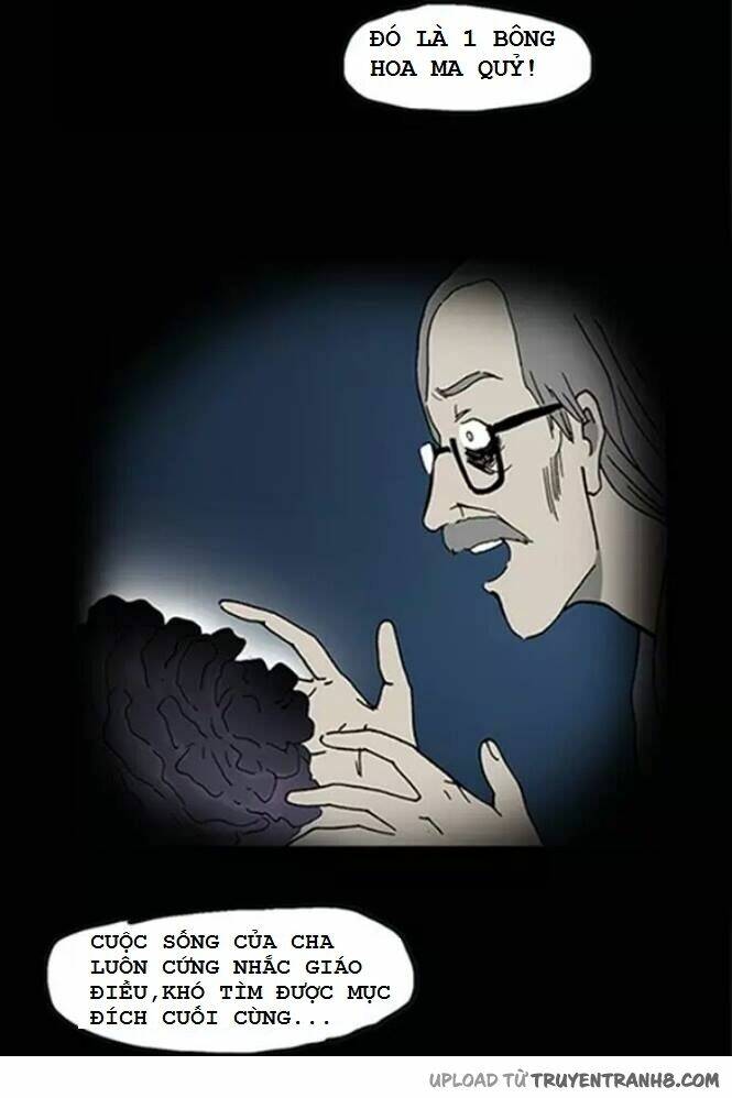 hoa mẫu đơn đen chapter 2 12