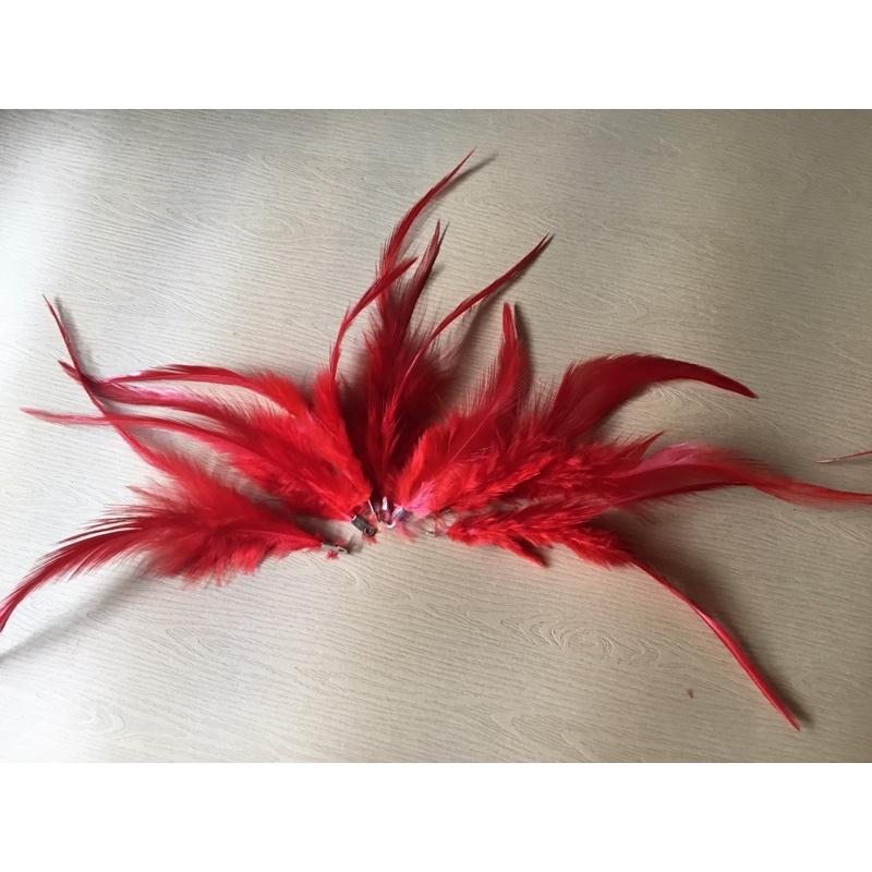 Lông gà màu đỏ đẹp dùng trang trí đa dụng