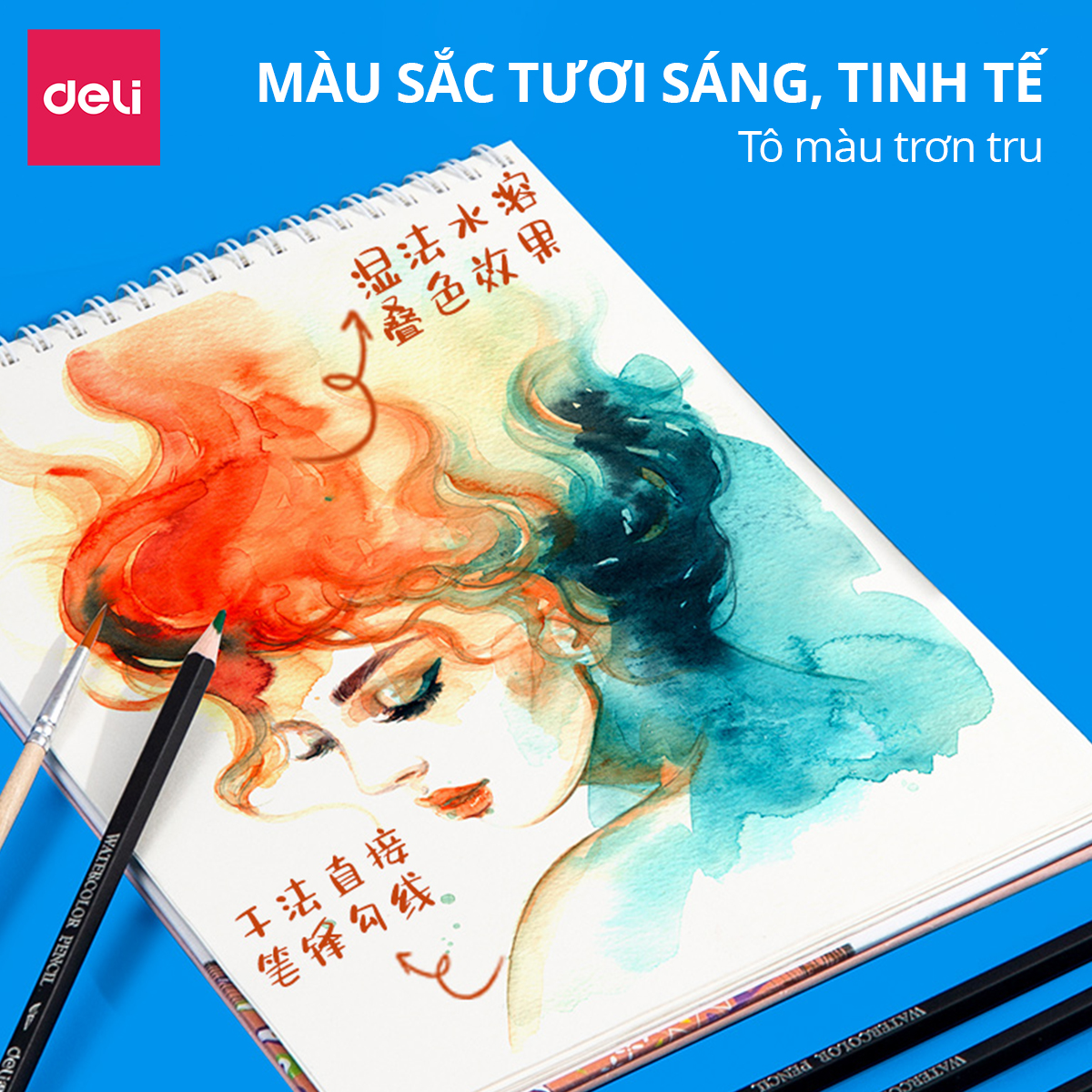 Bút Chì Màu Gốc Nước Chuyên Nghiệp Deli Kèm Cọ Vẽ - 36/48/72 Màu Thiết Kế Tô Vẽ Tranh Phác Thảo Học Sinh