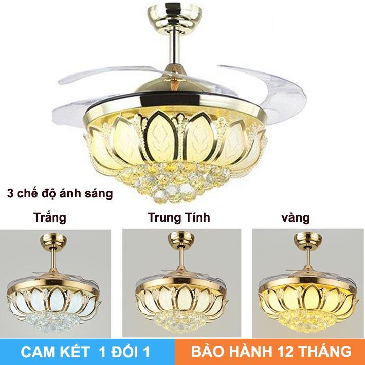 Đèn Quạt trang trí trần 3 màu 72w kiểu dáng sang trọng