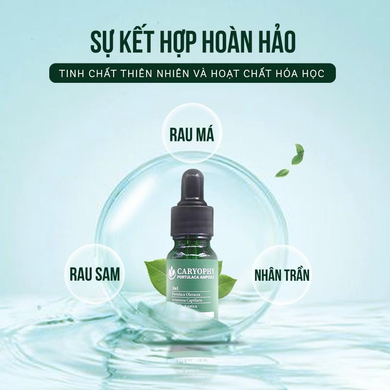 Combo 2 Sản Phẩm Ngừa Mụn, Mờ Thâm, Bảo Vệ Da CARYOPHY (Serum 10ml + KCN Tone Up 50ml)