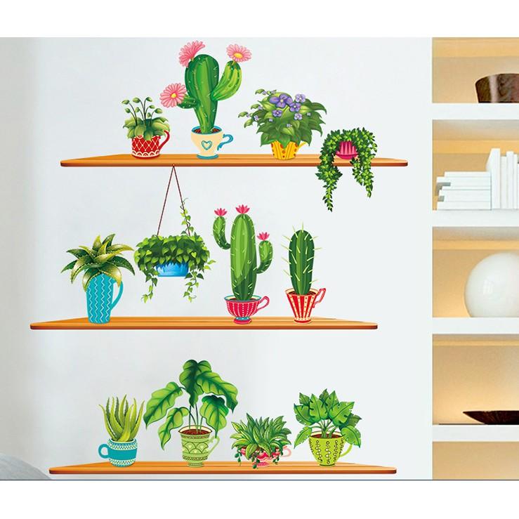 Decal trang trí tường Nhiều Chậu Xương Rồng