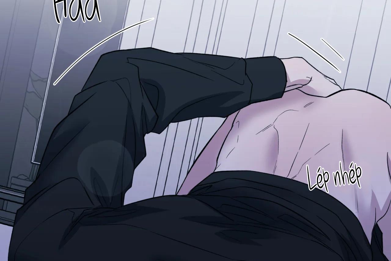 ám ảnh pheromone chapter 60 66