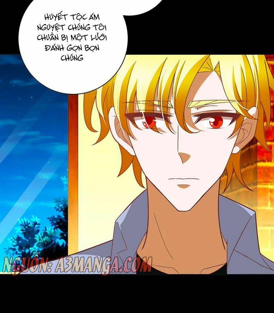 người yêu khát máu của tôi chapter 42 26