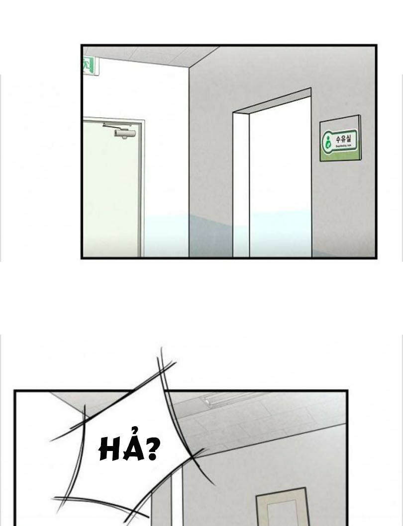 return survival chapter 6 34