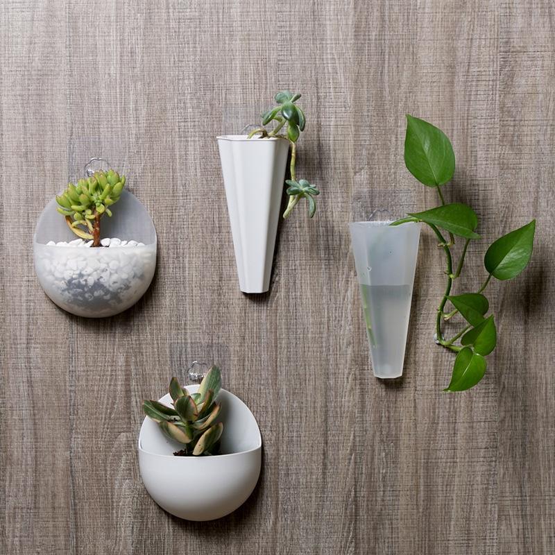 Chậu trồng hoa treo tường bình hoa nhựa treo tường chậu trồng cây dán tường babo