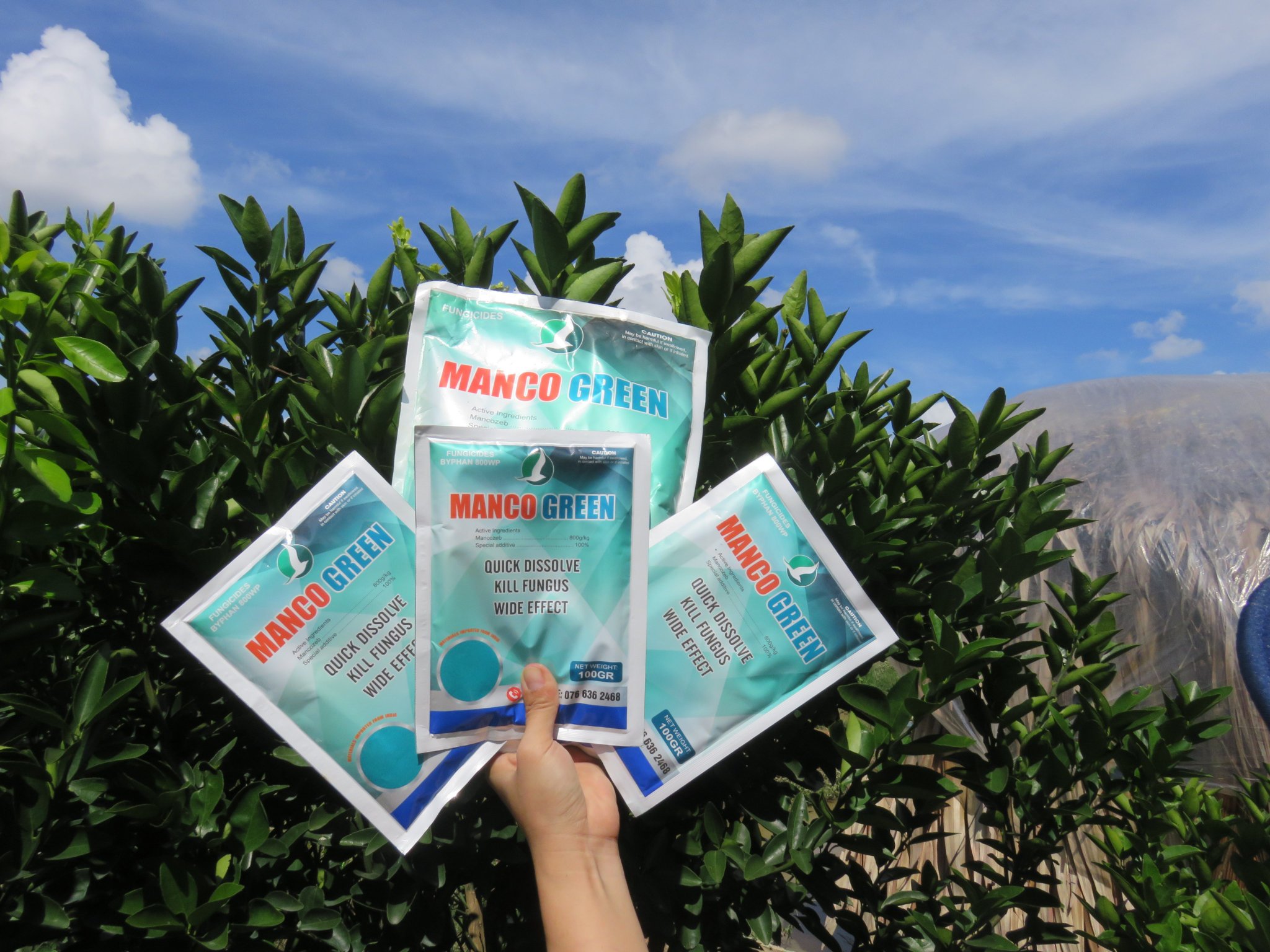MANCOZEB XANH ĐÁNH BAY NỖI LO NẤM BỆNH TRÊN CÂY TRỒNG VỚI GÓI 100G VÀ 1KG