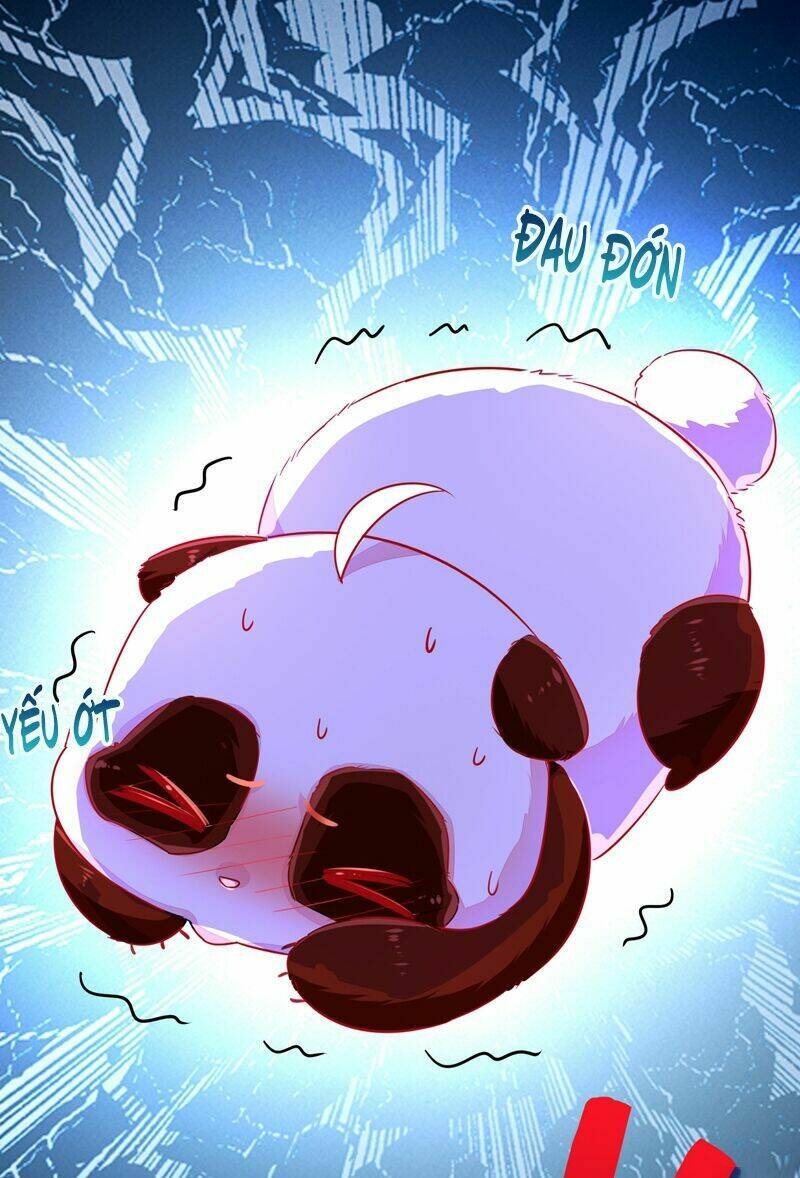 thiên thần gấu trúc muốn được ôm chapter 57 16