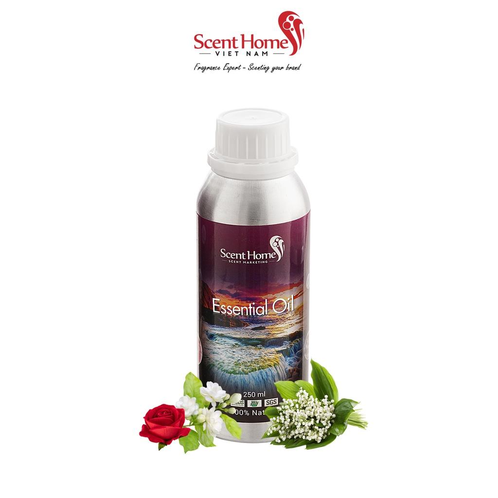 Tinh dầu Scent Homes - mùi hương