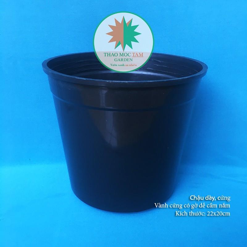 10c Chậu nhựa cứng 22x20cm (Đen bóng) – Chậu nhựa cứng, dày thích hơp trồng hoa hồng, cây hoa, cây kiểng