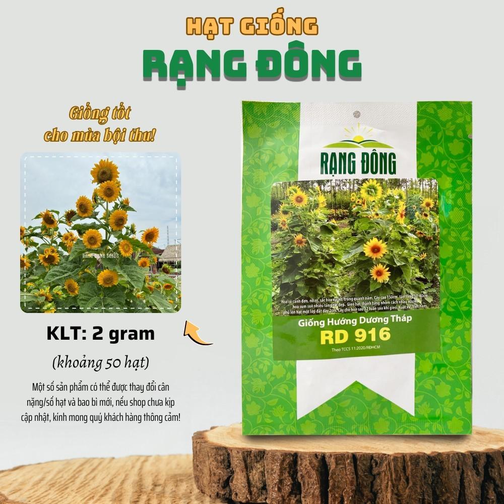 Hạt giống Hoa Hướng Dương Tháp Rd 916 (2g~80 hạt) thân cao, bông nhiều - Hạt giống Rạng Đông