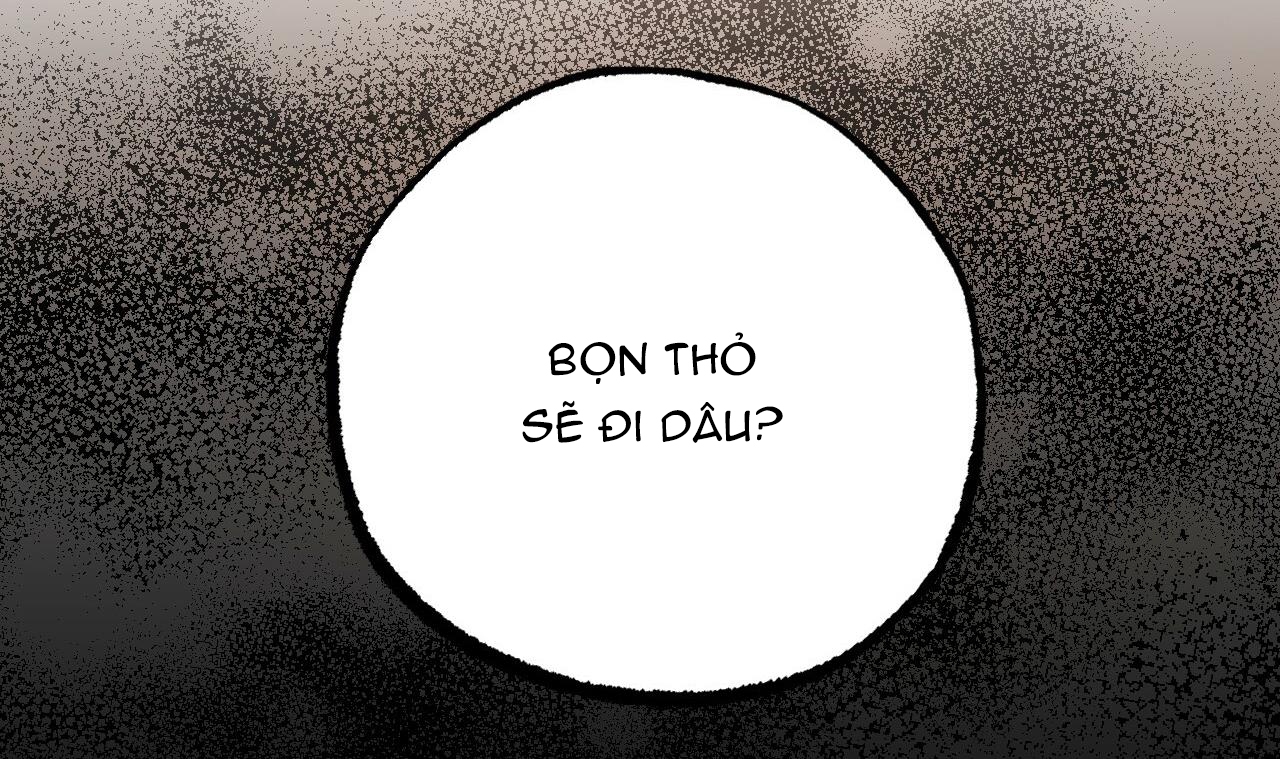 đàn thỏ của habibi chapter 34 217