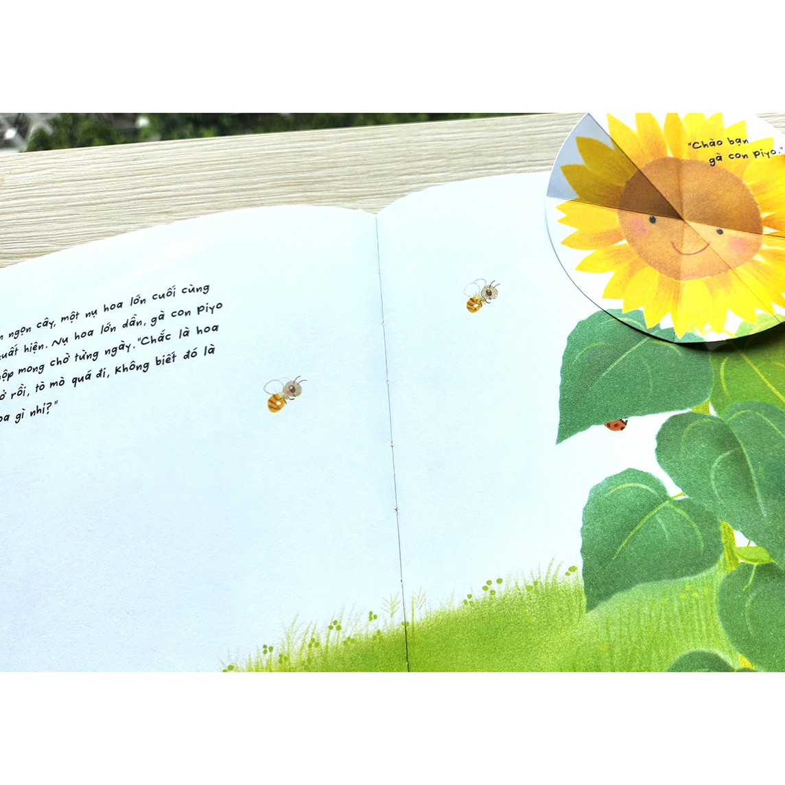 Sách Gà con và hoa hướng dương