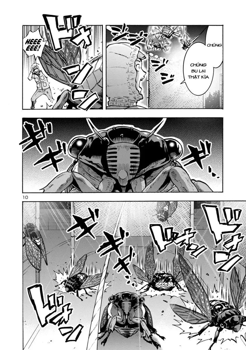 Siêu Đảo Côn Trùng chapter 9.1 10