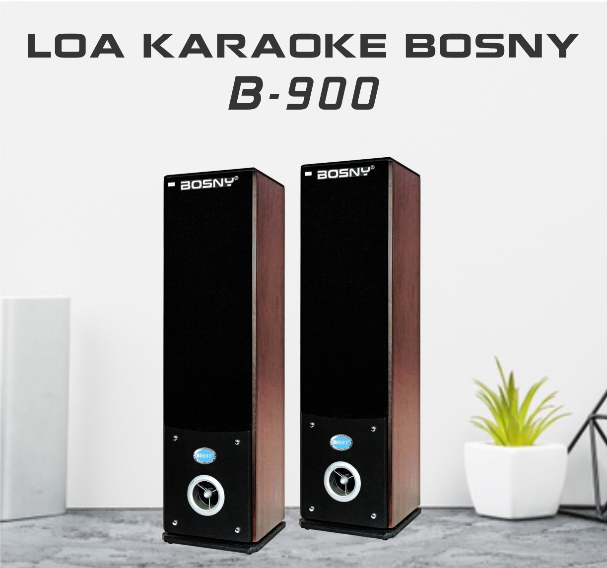 LOA ĐỨNG KARAOKE BOSNY B-900 (Hàng chính hãng)