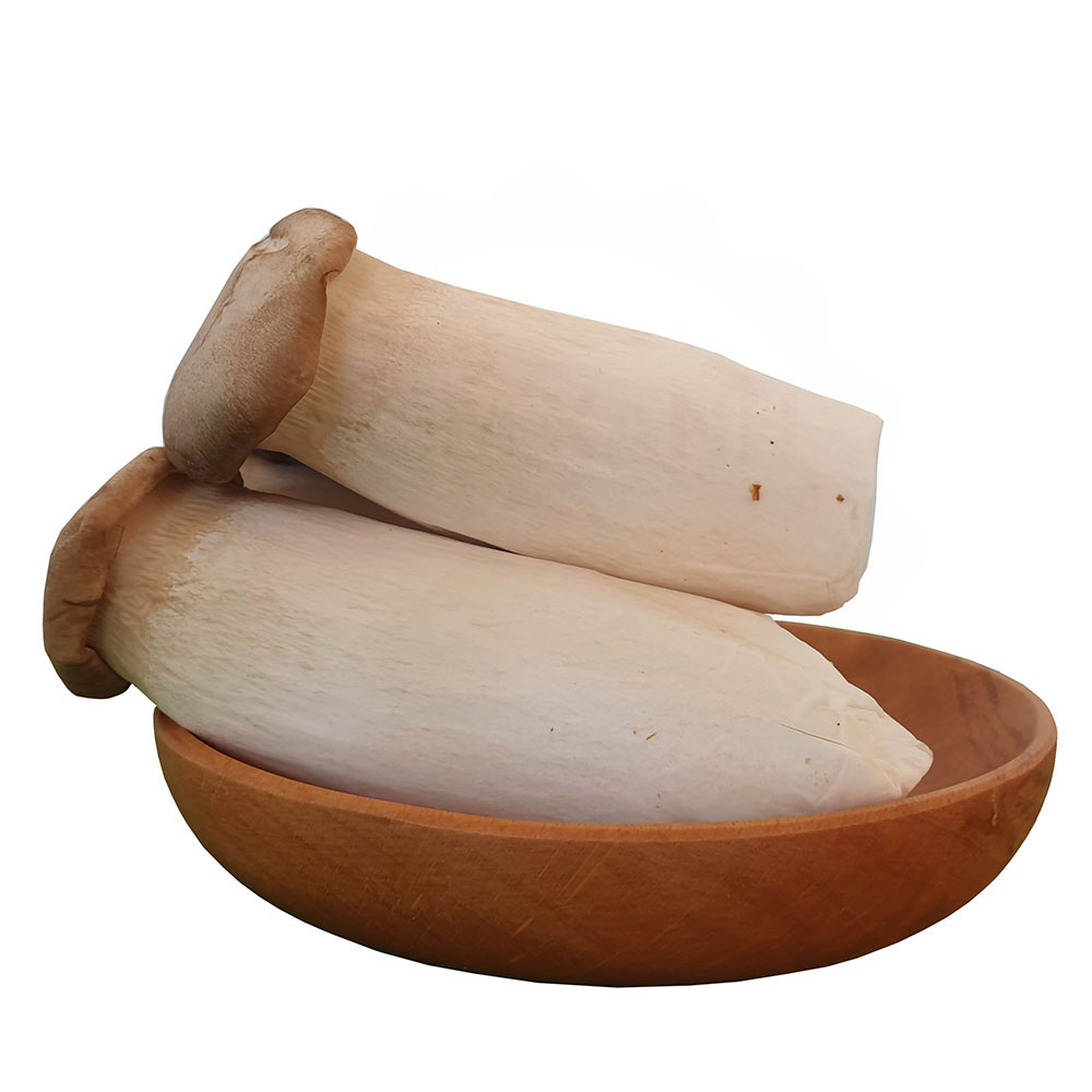 Nấm Đùi Gà 500gr Ngon Sạch - Nông Trại Nấm Xanh