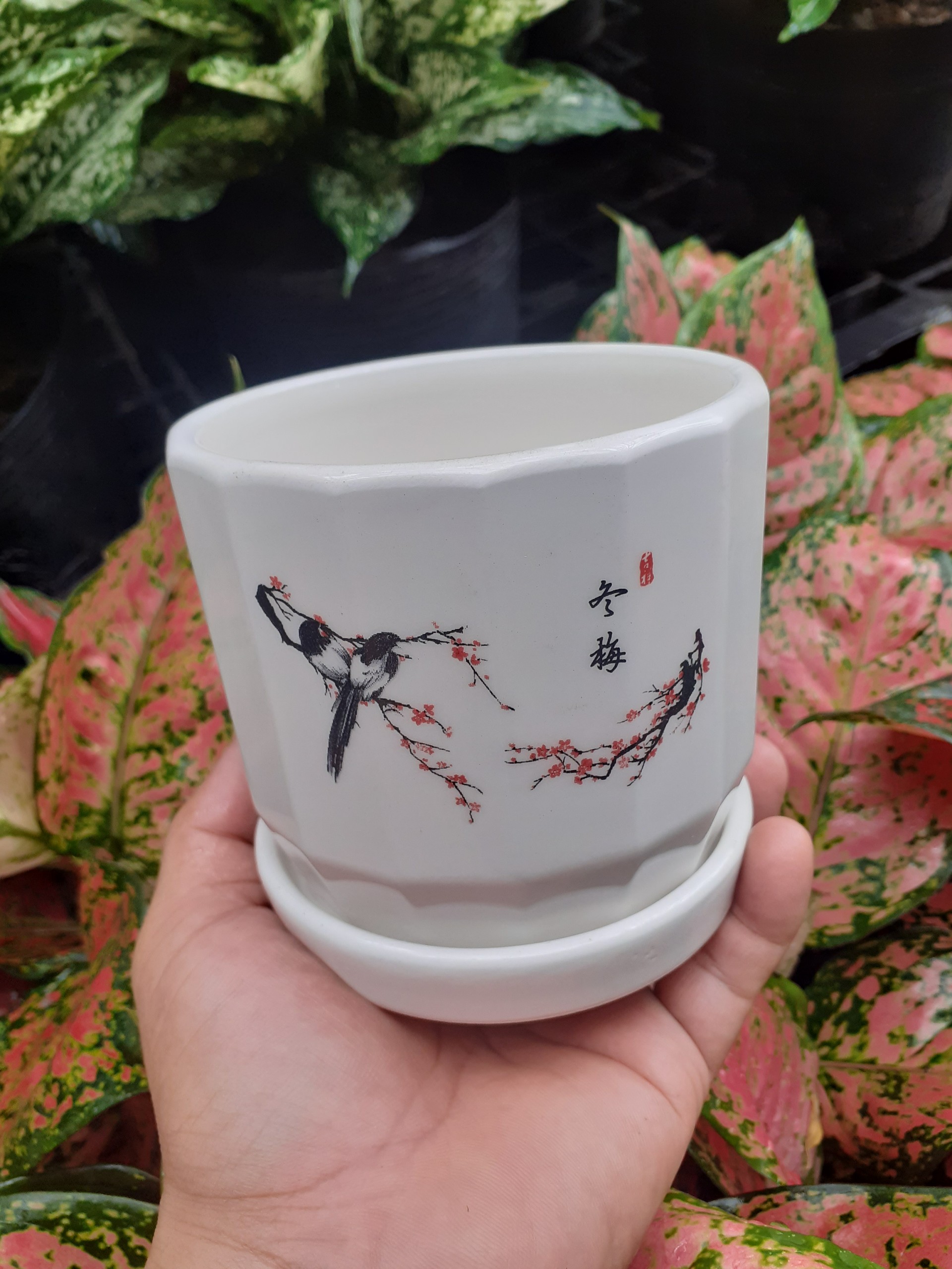 Chậu sứ tròn kèm dĩa đôi chim uyên ương giữa mùa xuân.