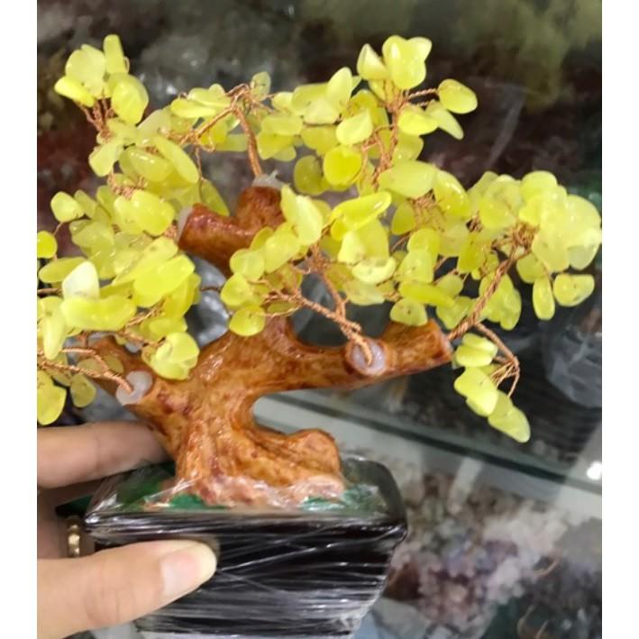 (Chọn mẫu)CÂY PHONG THỦY ĐÁ SIZE 16CM