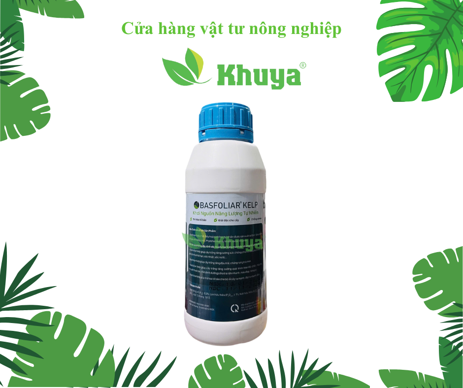 Phân bón  Basfoliar Kelp 500ml  Giải Độc Cây - Chống Stress