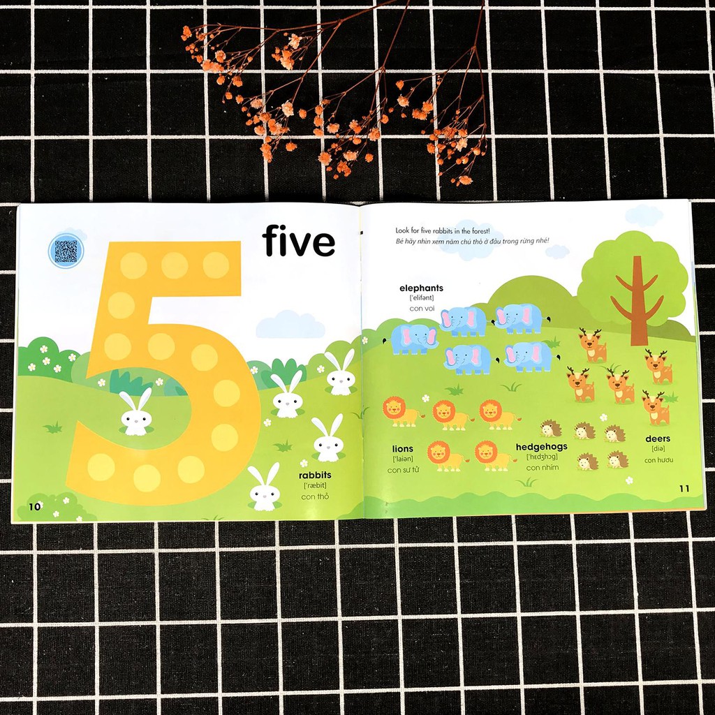 Combo Sách: My First Alphabet Adventure + My First Counting Adventure - Cuộc Phiêu Lưu Với Chữ Cái và Số Đếm