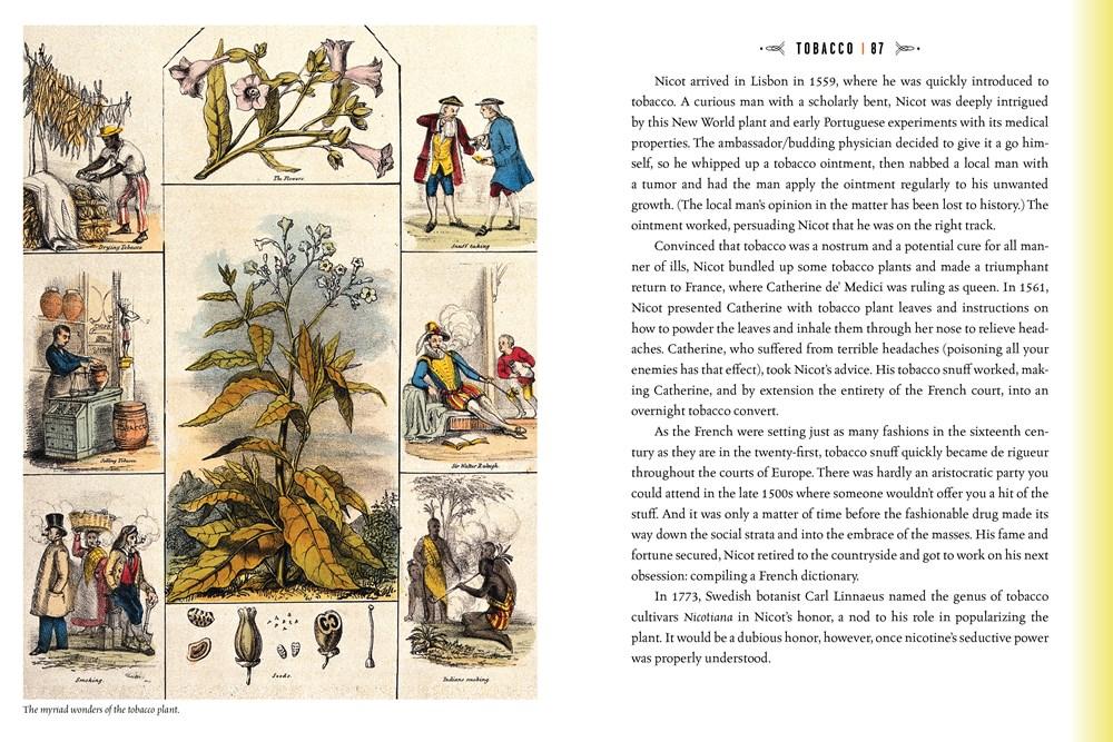 Sách - Quackery : A Brief History of the Worst Ways to Cure Everything by Lydia Kang