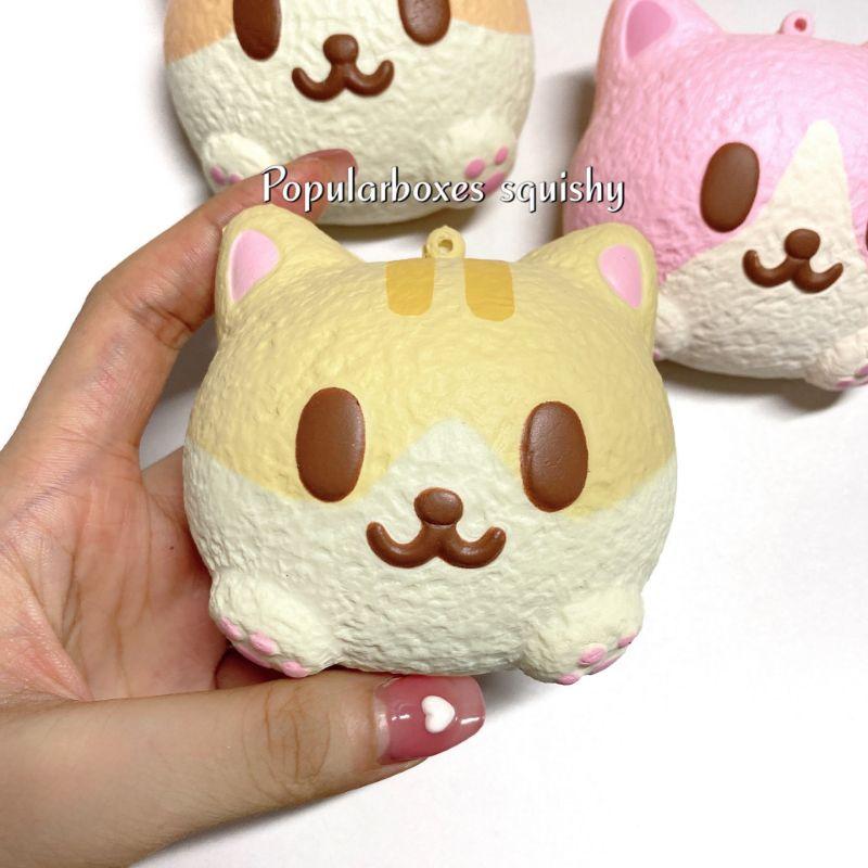 Squishy Mặt Mèo Ibloom size nhỏ (có ảnh khách mua)