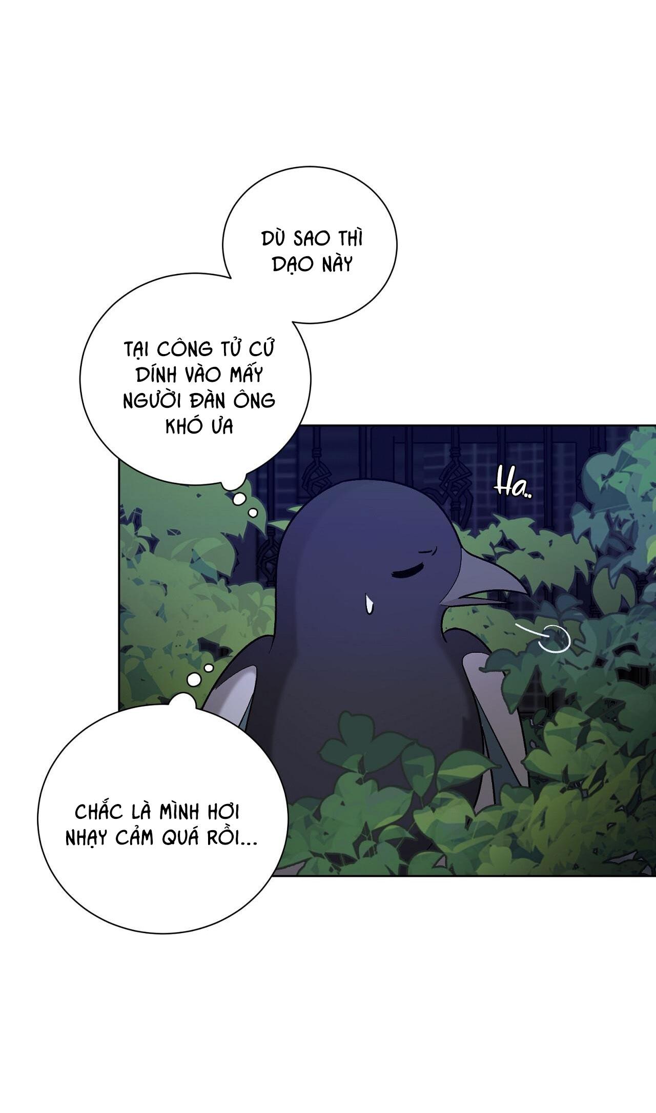 khi chim thước đến chapter 11 35