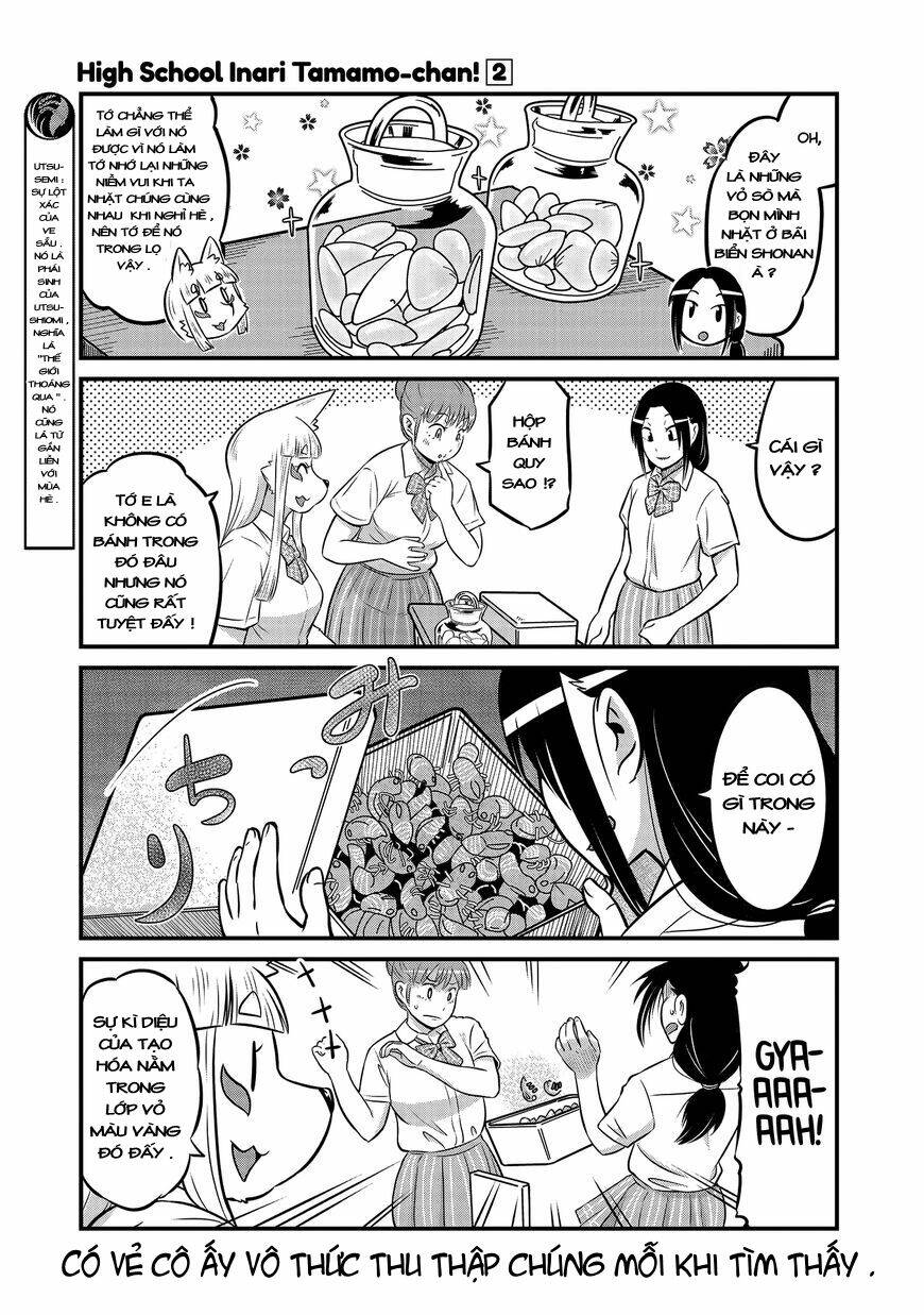 high school inari tamamo-chan ! chapter 16 11