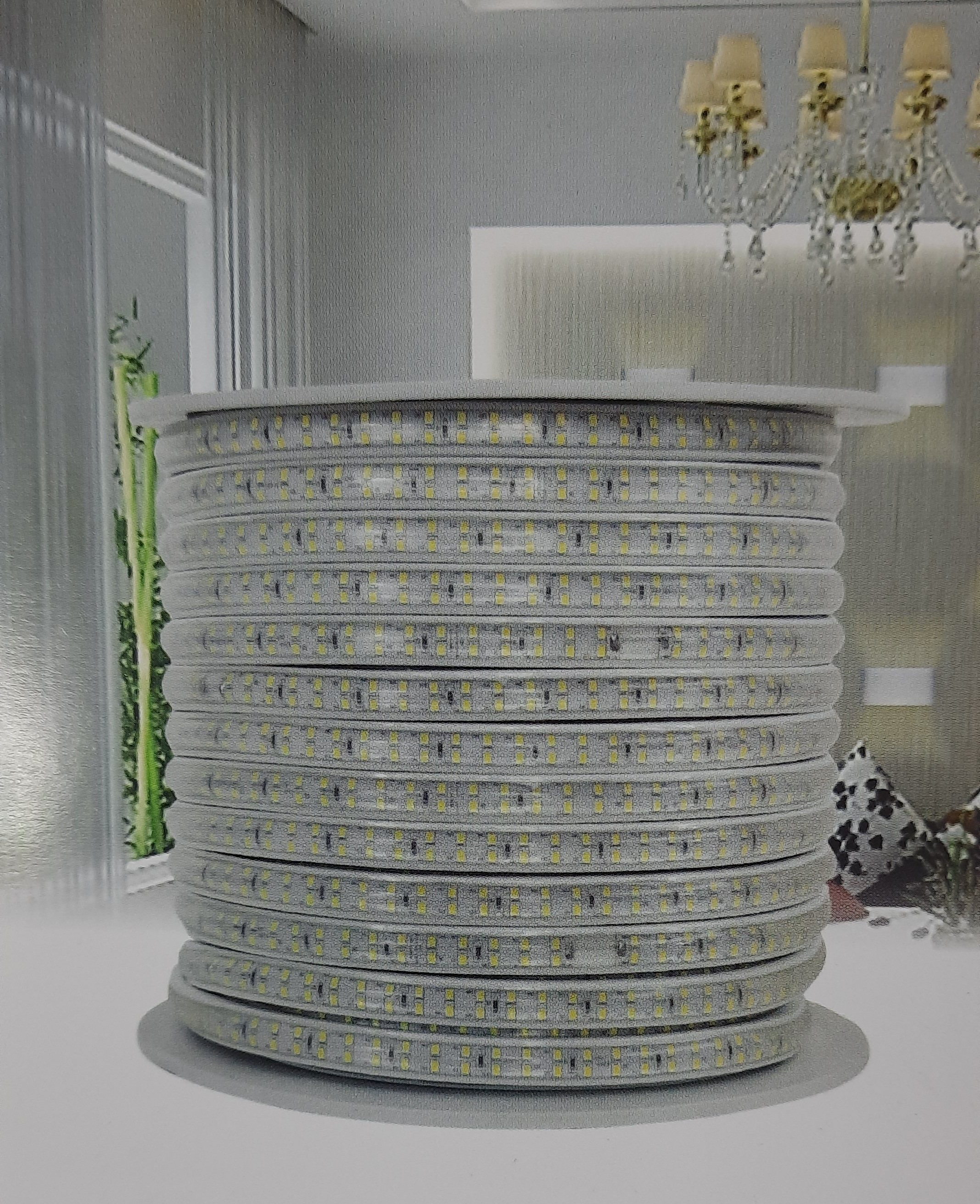 LED DÂY 2835 TLC- 100M