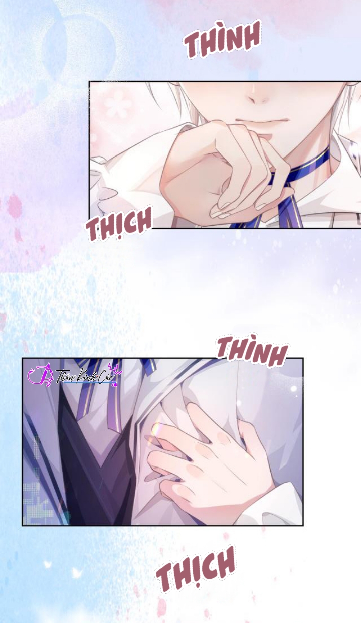 xin hãy ly hôn chapter 0.1 15