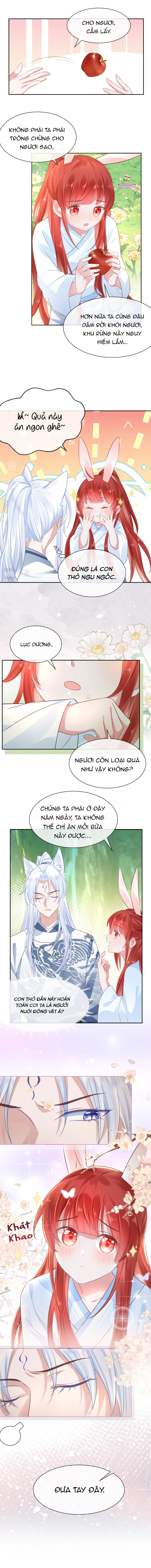 nuôi thỏ? nam chính hắc hóa rồi! chapter 15 4