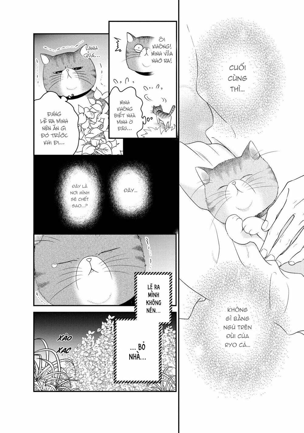 living no matsunaga-san chapter 24.5 5