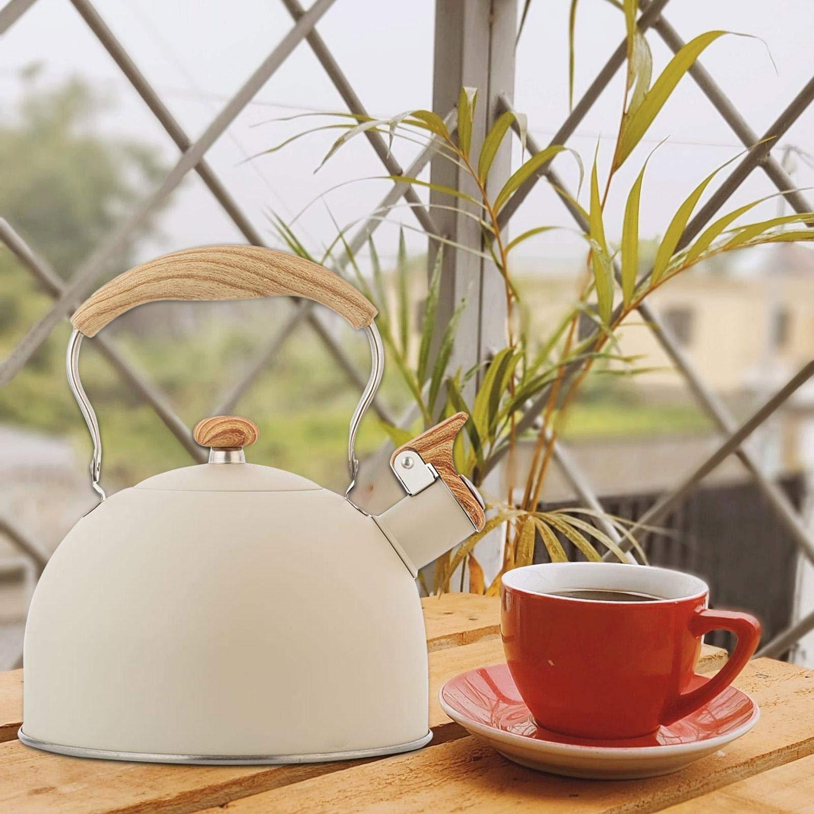 Ấm đun nước ngớ ngẩn, Khí ấm đun nước ấm bằng lụa 2.5L.