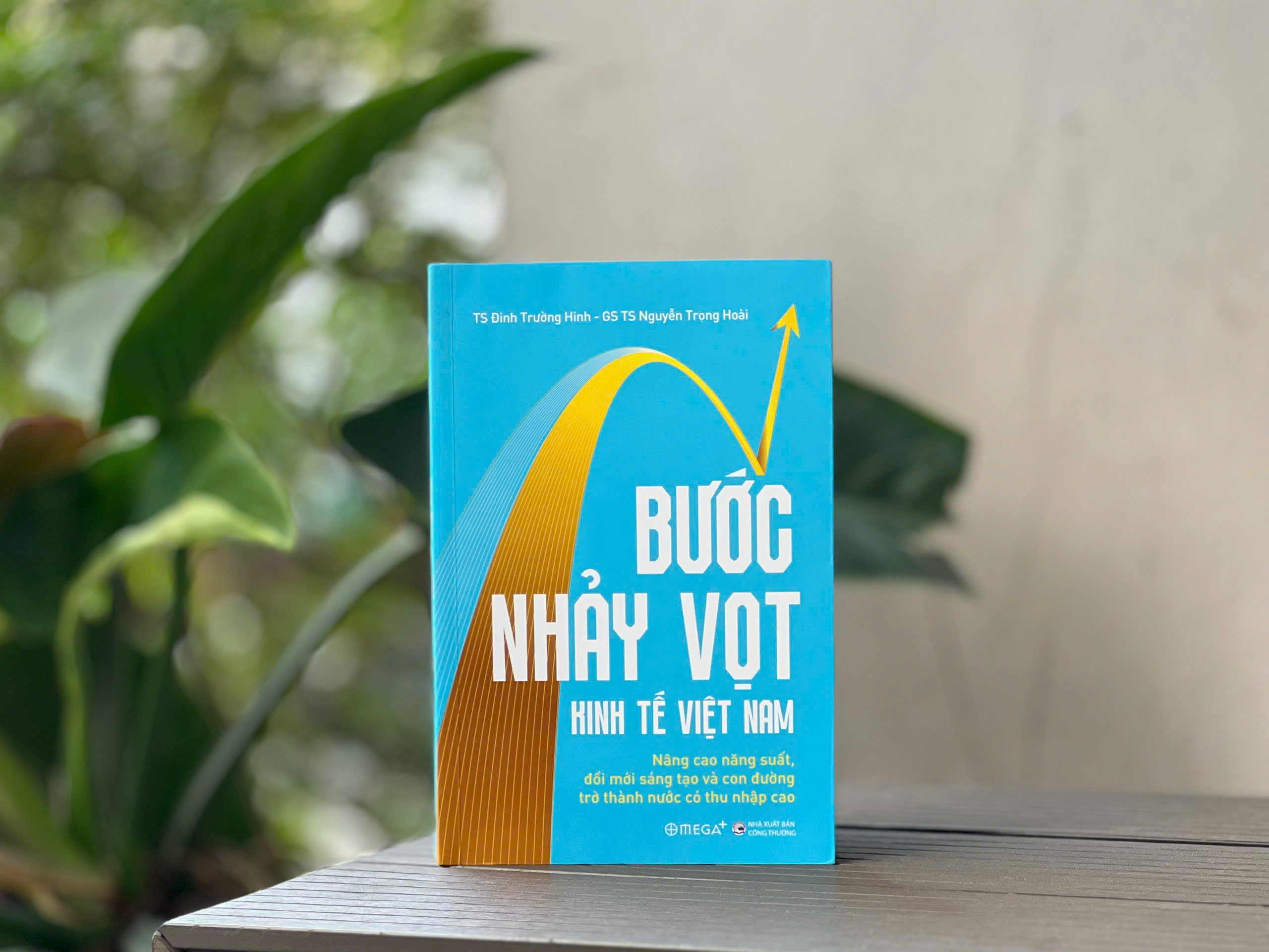 Sách Bước Nhảy Vọt Kinh Tế Việt Nam