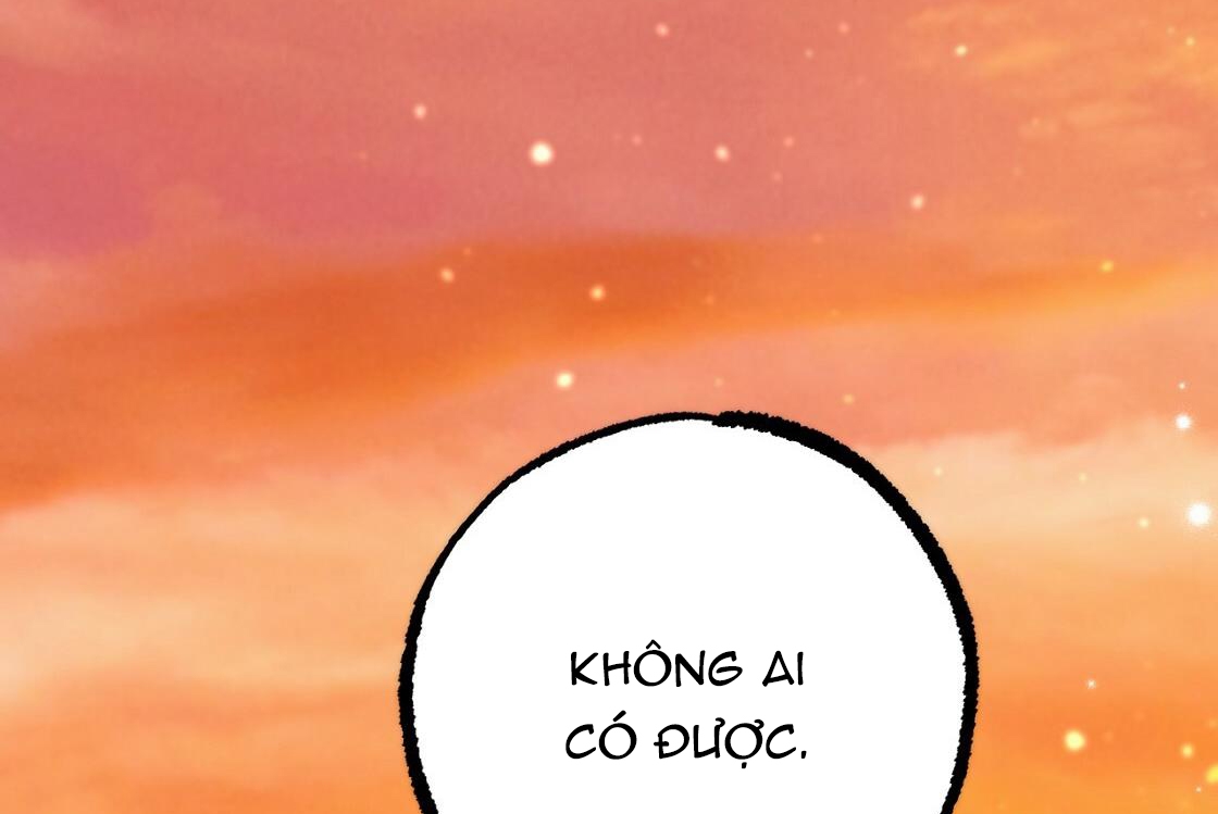 đàn thỏ của habibi chapter 24 235